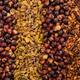 Regardless of what diet you’re on, nuts and seeds are pretty darn good for you.